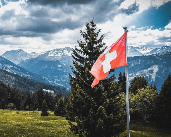 Bergpanorama mit schweizer Flagge im Vordergrund